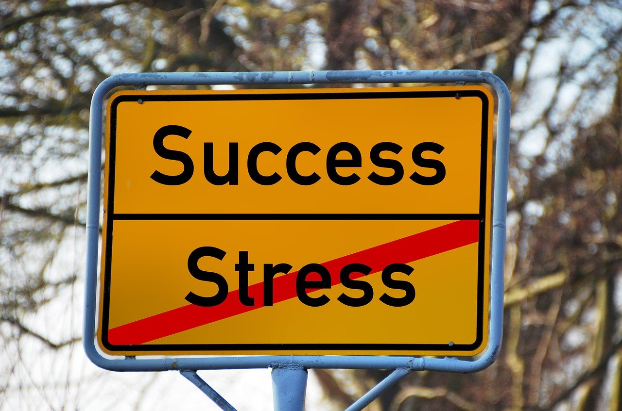 Success ohne Stress, BOGOheilung