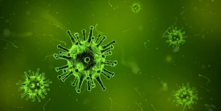 Immunsystem Widerstandskraft hat gegen Krankheiten, Grippe, Viren